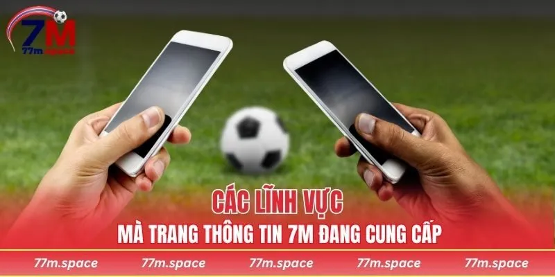 Các lĩnh vực mà trang thông tin 7M đang cung cấp