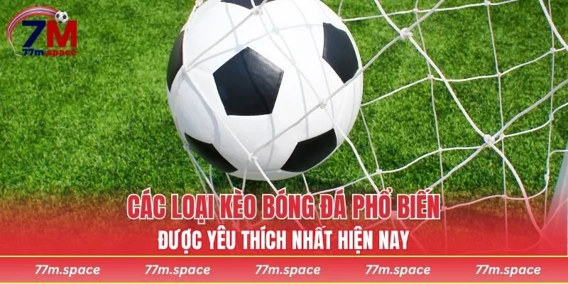 Các loại kèo bóng đá phổ biến được yêu thích nhất hiện nay