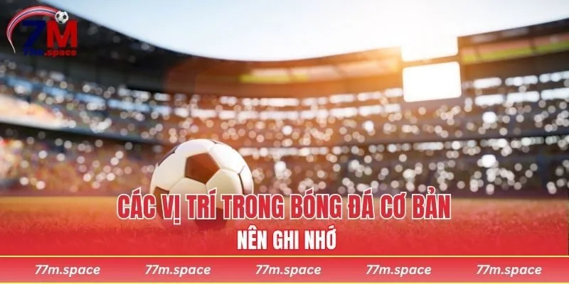 Các vị trí trong bóng đá cơ bản nên ghi nhớ