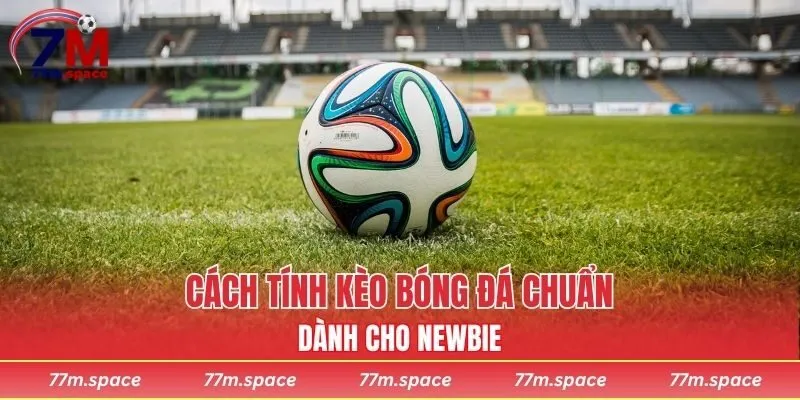 Cách tính kèo bóng đá chuẩn xác nhất dành cho Newbie