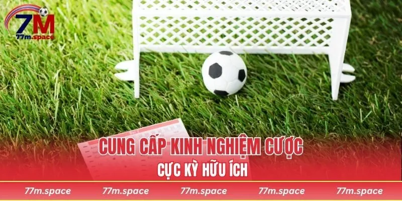 Cung cấp kinh nghiệm cược cực kỳ hữu ích