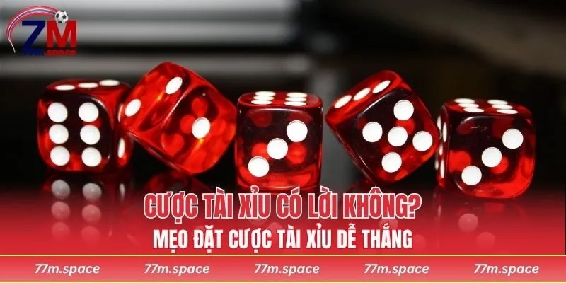 cược tài xỉu có lời không