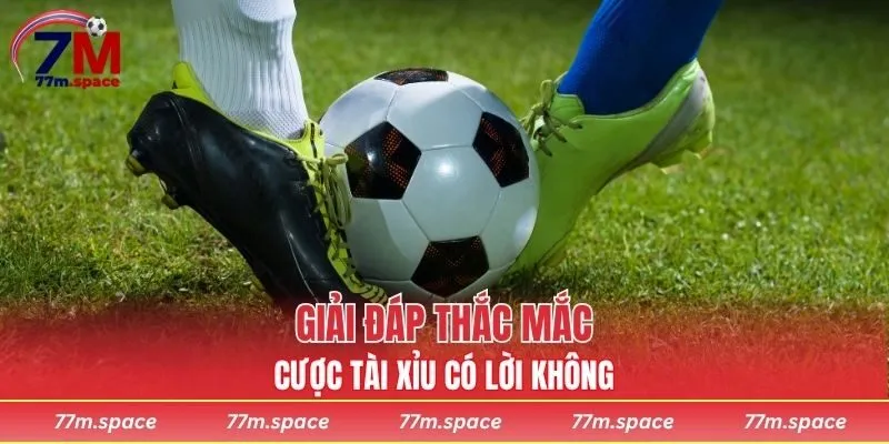Giải đáp thắc mắc cược tài xỉu có lời không?