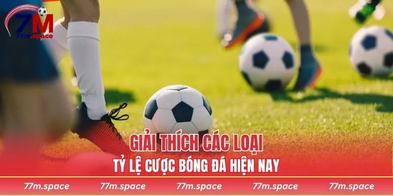 Giải thích các loại tỷ lệ cược bóng đá hiện nay