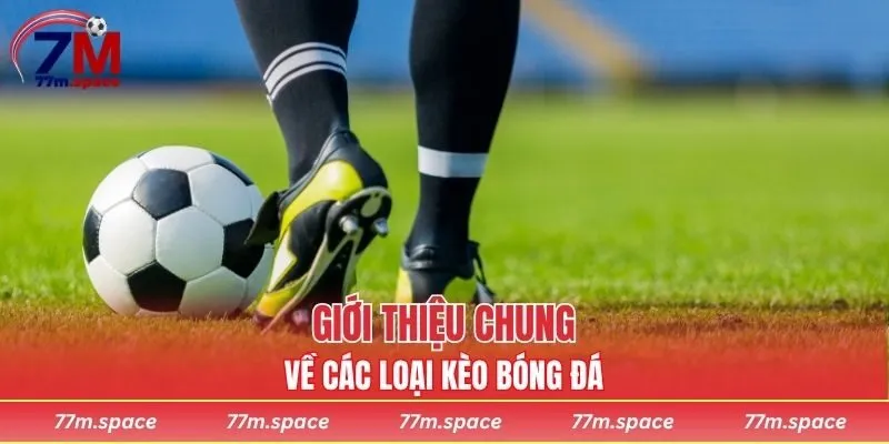 Giới thiệu chung về các loại kèo bóng đá