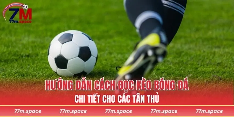 Hướng dẫn cách đọc kèo bóng đá chi tiết cho các tân thủ