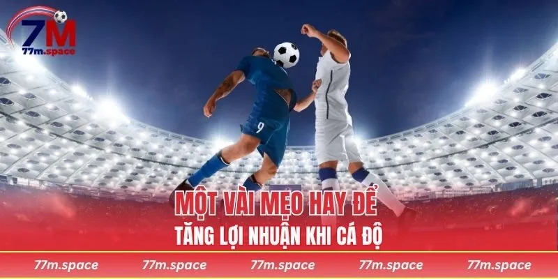 Một vài mẹo hay để tăng lợi nhuận khi cá độ