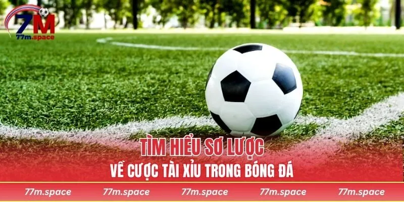 Tìm hiểu sơ lược về cược tài xỉu