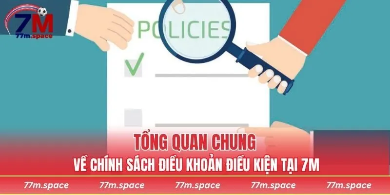 Tổng quan chung về chính sách điều khoản điều kiện tại 7M