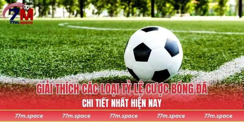 tỷ lệ cược bóng đá